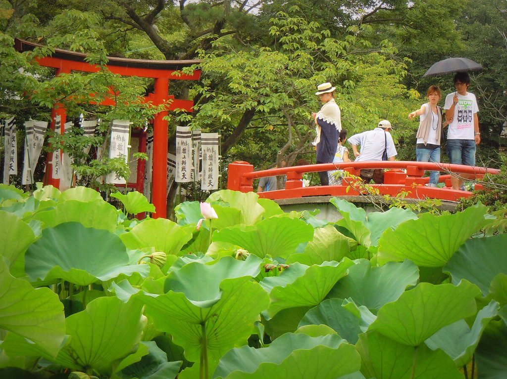 ⛩️ 구마노 신사 (주니소 구마노진자) 이미지 6